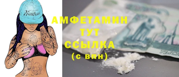 mdpv Вяземский