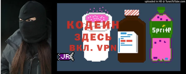 mdpv Вяземский