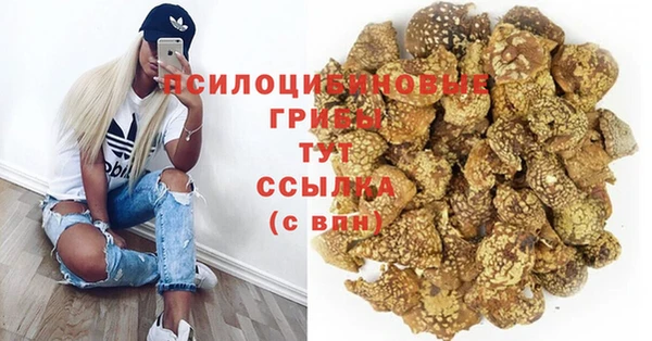 эйфоретик Вязники