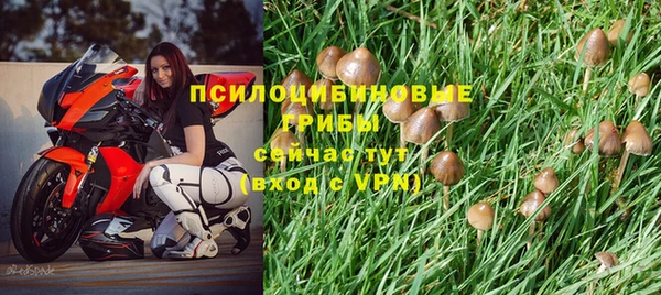 jwh Лиски