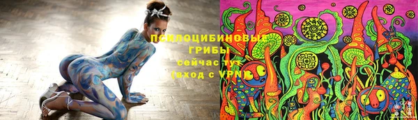 молекула духа Лабытнанги