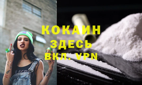 молекула духа Лабытнанги