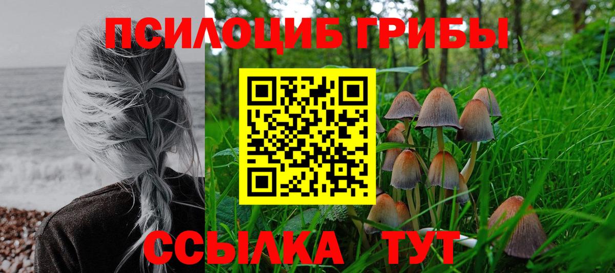 Галлюциногенные грибы GOLDEN TEACHER Малоярославец