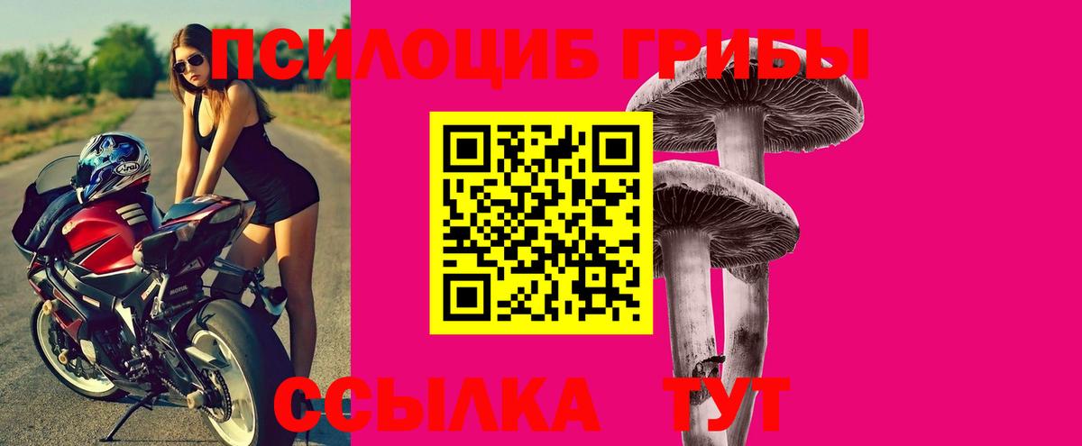 Псилоцибиновые грибы MAGIC MUSHROOMS  Малоярославец  Псилоцибиновые грибы прущие грибы 