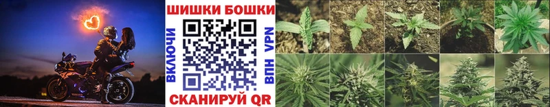 Бошки марихуана конопля  Малоярославец 
